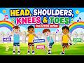 Head Shoulders Knees Toes Song Tiny Tots Learn With Fun Kids Songs