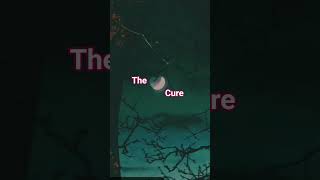 The Cure: Truth goodness and Beauty #youtubeshorts #thecure #robertsmith #music#lifeisbutadream