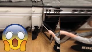 ПРИКОЛЫ ПРО ЛЮДЕЙ И ЖИВОТНЫХ 2019 угарные видео