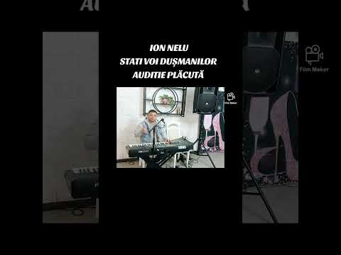 ION NELU-STAȚI VOI DUȘMANILOR