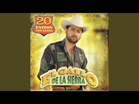 Entre Hierba, Polvo y Plomo