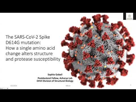 Sophie Gobeil, Ph.D - Structural, biophysical, and biochemical studies of SARS-CoV-2 spike variants