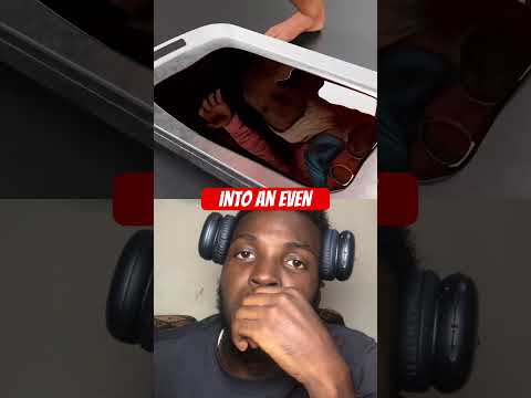 Reaction #zachdfilms #animation #music #producer