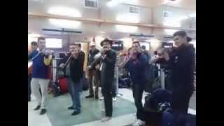 Son De La Negra-Mariachi  Nuevo Tamazula