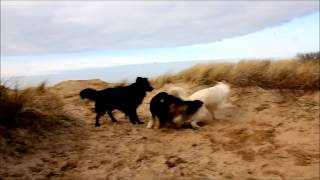 TINDERSTICKS  The Hungry Saw Introduction