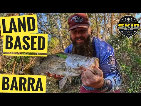 LAND BASED BARRA Townsville #skidpig #barrafishing #landbasedfishing 
