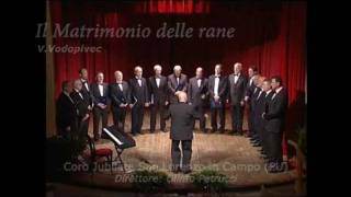 preview picture of video 'Il matrimonio delle rane'