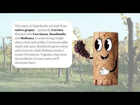 Valpolicella Mini thumbnail