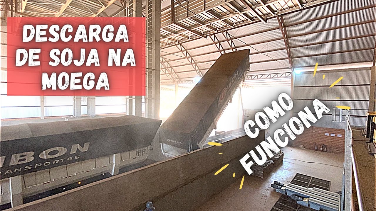 Descarga de soja na MOEGA