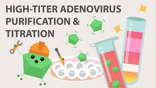 High-titer Adenovirus and Titration