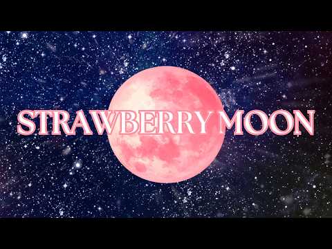 Strawberry Moon - Levi Troast