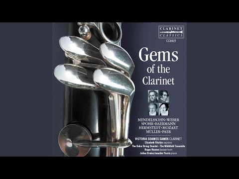 Clarinet Quintet in B-Flat Major, Op. 34, J. 182: IV. Rondo. Allegro giocoso