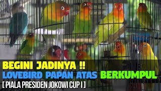 Download lagu BEGINI JADINYA !! JIKA LOVEBIRD PAPAN ATAS BERKUMPUL [ PIALA PRESIDEN JOKOWI CUP I ] mp3