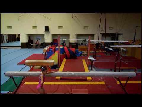 OBAVEZNI SASTAVI I selekcija