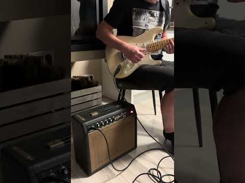 Fender Vibro Champ 64’/65’ pre CBS imagen 17