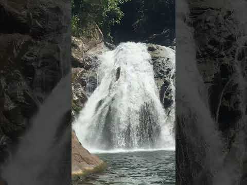📍La planta, San Luis Antioquía 🇨🇴