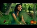 SAVIYO SAVIYO SHANTHALA S RAO SOME GEETHA UDAYA MUSIC Kannada Melody Hit Songs Cover Songs