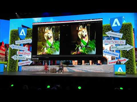 Adobe Research &raquo; Project See Through	