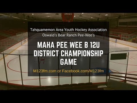 MAHA District 8 12U District Championship