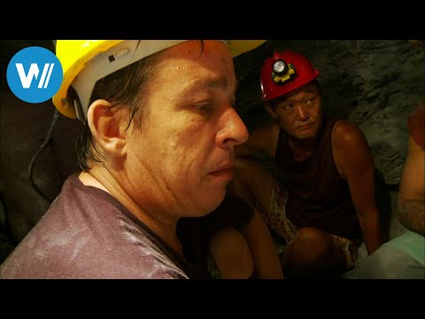 In the Emerald Mountains of Bahia (360° - GEO Reportage)