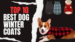Top 10 Best Dog Winter Coats _ In 2023 Jacket For Dog