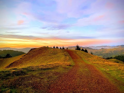 Tycho   Burning Man Sunrise Set 2017