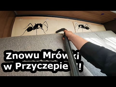 Ants in a Caravan!!! - We go to Monte Cassino and visit the cemetery (673)