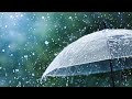 Rain Status Video Barish Whatsapp Status And Natural Status Video Shorts Youtubevideo