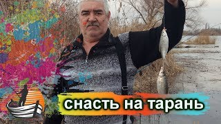 Наживка при ловли тарани