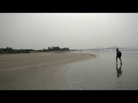 Seagulls congragation, Nature Beach, Ankola - 4