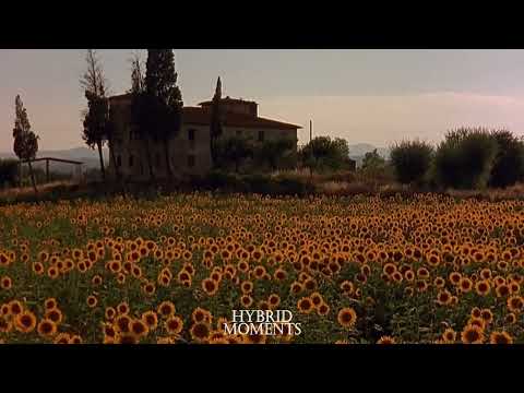 Pieraccioni - olè...