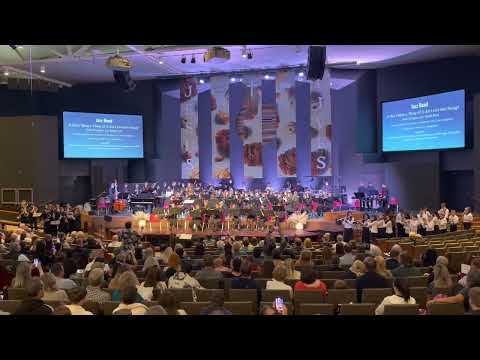 The Lion Sleeps Tonight