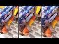 Imo Video Call Hot Aanti Imo Call Imo Call 976576543 Video Call Imo 20121