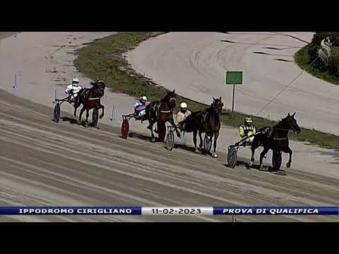 Aversa trotto 11 Febbraio 2023 - Prova di qualifica