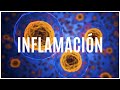 inflamaciÓn qué es porqué sucede qué moléculas están implicadas y cuánto dura.