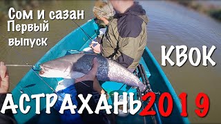 Ловля сома на квок в астрахани 2020