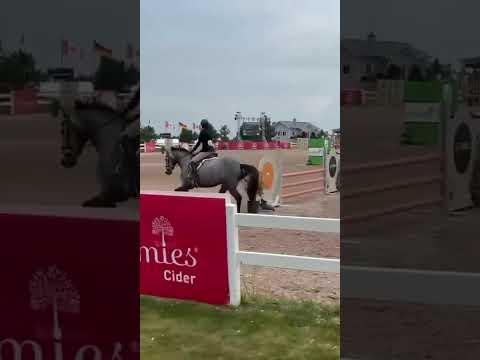 Ohio VDL video 3