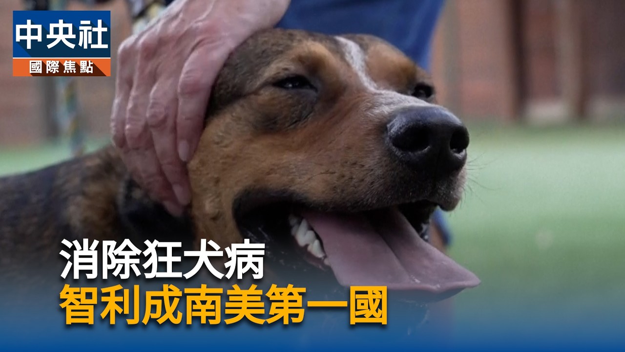消除狂犬病  智利成南美第一國