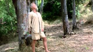 Don Quijote (2000) - Película Completa