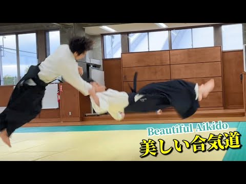 Amazing and Beautiful Aikido - RYUJI SHIRAKAWA