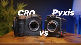 Canon C80 vs Blackmagic Pyxis 6k: Which Should You Buy?