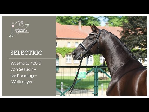 Selectric 31 03 2022 Trainigseindrücke