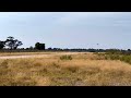 Our Flight Arriving In Botswana