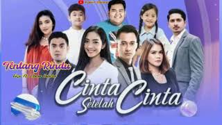 Download lagu Tentang Rindu ( Lirik ) OST Cinta Setelah Cinta ~ SCTV || Virzy Ft Eltasya Natasha mp3
