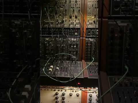 Roland System-100m at The Synth Sanctuary