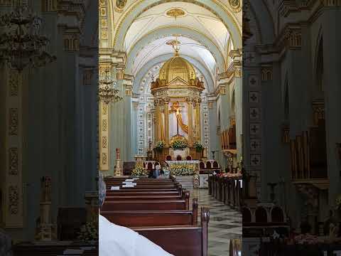 #shorts Interior Catedral de Córdoba #cordoba #córdoba #veracruz #catedral #cathedral #catholic