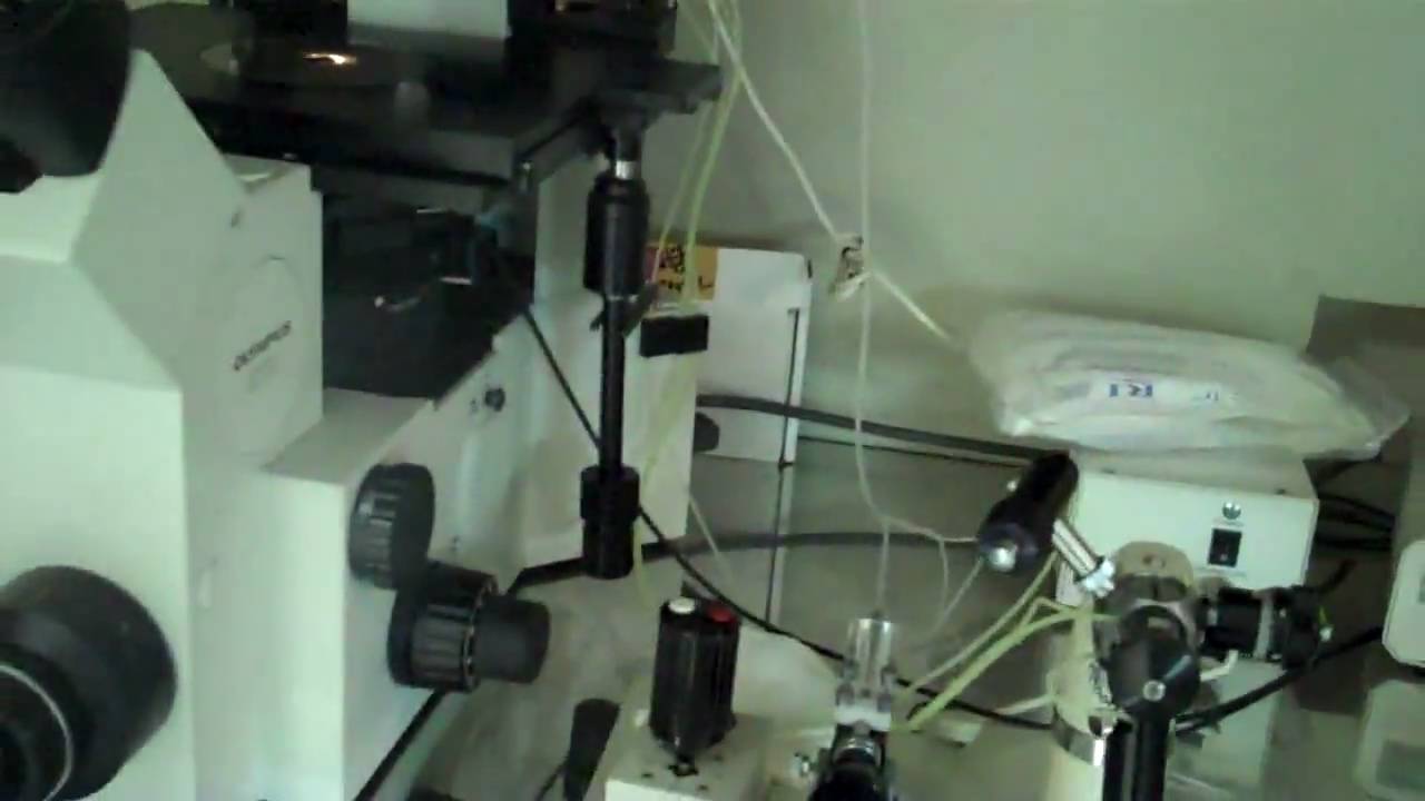 Dr. Patel's Clinic - Lab and EPU / ET Areas