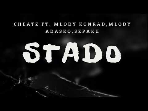Cheatz x Szpaku (ai), Mlody Konrad, Mlody adasko - Stado