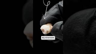 GARGARALARIN KORKUNÇ GERÇEĞİ !