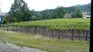 preview picture of video 'may 09, napa valley  wine train 032 vineyards coach'